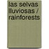 Las selvas lluviosas / Rainforests
