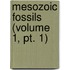 Mesozoic Fossils (Volume 1, Pt. 1)