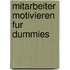Mitarbeiter Motivieren Fur Dummies