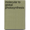 Molecular To Global Photosynthesis door Mary D. Archer