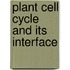 Plant Cell Cycle and Its Interface