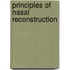 Principles Of Nasal Reconstruction