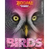 Zoom! The Invisible World Of Birds door Camilla DeLaBedoyere