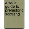 A Wee Guide To Prehistoric Scotland door Ann Macsween
