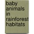 Baby Animals in Rainforest Habitats