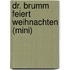 Dr. Brumm feiert Weihnachten (Mini)
