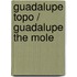 Guadalupe Topo / Guadalupe the Mole