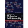 Handbook Of Molecular Self-Assembly door Mihai Barboiu