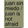 Juan sin miedo / Juan is not afraid door Roberto Piumini