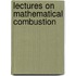 Lectures On Mathematical Combustion