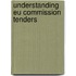 Understanding Eu Commission Tenders
