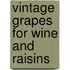 Vintage Grapes For Wine And Raisins