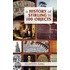 A History Of Stirling In 100 Objects