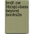 Bndl: Cw Hb(Sp)+Bass Beyond Bordrs2e