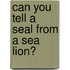 Can You Tell A Seal From A Sea Lion?