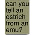 Can You Tell An Ostrich From An Emu?