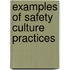 Examples of Safety Culture Practices