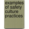 Examples of Safety Culture Practices by International Atomic Energy Agency