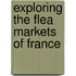 Exploring the Flea Markets of France