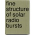 Fine Structure Of Solar Radio Bursts