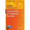 Fundamentals Of Combustion Processes door Sara McAllister