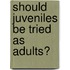 Should Juveniles Be Tried As Adults?