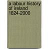 A Labour History Of Ireland 1824-2000 door Emmet O'Connor