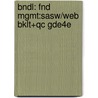 Bndl: Fnd Mgmt:Sasw/Web Bklt+Qc Gde4e by Robert Kreitner