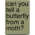 Can You Tell a Butterfly from a Moth?