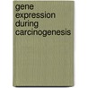 Gene Expression During Carcinogenesis door Ganiraju Manyam