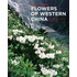 Guide To The Flowers Of Western China