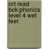 Ort Read Bck:phonics Level 4 Wet Feet door Roderick Hunt