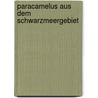 Paracamelus Aus Dem Schwarzmeergebiet by Irene Bianka Pytlik