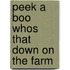 Peek A Boo Whos That Down On The Farm