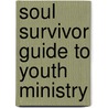 Soul Survivor Guide to Youth Ministry by Soul Survivors