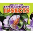 Step-By-Step Experiments With Insects