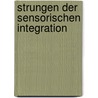 Strungen Der Sensorischen Integration by Daniela Burghardt