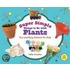 Super Simple Things to Do With Plants