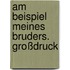 Am Beispiel meines Bruders. Großdruck