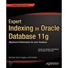 Expert Indexing In Oracle Database 11G door Sam Alapati