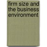 Firm Size And The Business Environment door Mirjam Schiffer