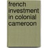 French Investment in Colonial Cameroon