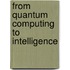 From Quantum Computing To Intelligence