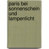 Paris bei Sonnenschein und Lampenlicht by Julius Rodenberg