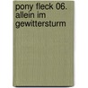 Pony Fleck 06. Allein Im Gewittersturm door Wolfram Hänel