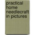 Practical Home Needlecraft In Pictures