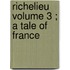 Richelieu  Volume 3 ; A Tale Of France