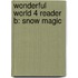 Wonderful World 4 Reader B: Snow Magic