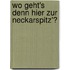 Wo geht's denn hier zur Neckarspitz'?