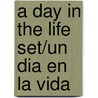A Day in the Life Set/Un dia en la vida by Jamie Kondrchek